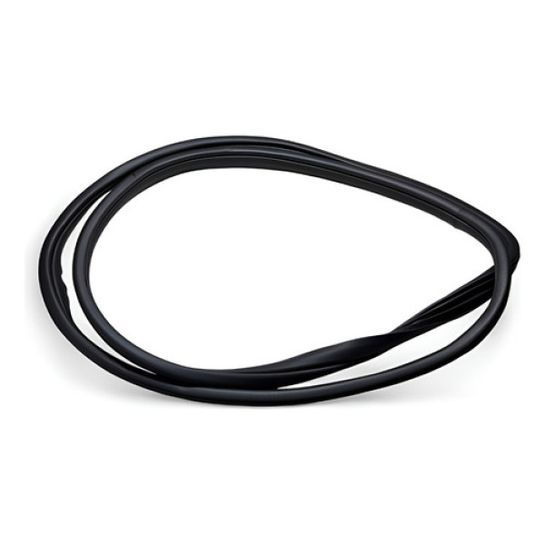 Borracha Porta Dianteira Direita (carroceria) Hb20 2020/