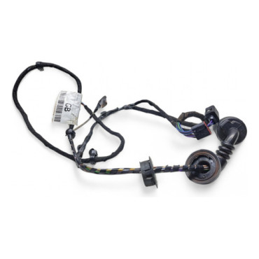 Chicote Porta Tras D...