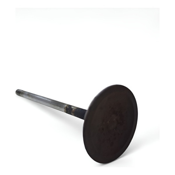 Valvula Admissao Eco Sport Fiesta 1.6 Zetec