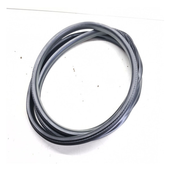 Borracha Porta Traseira Esq (carroceria) Fluence 11/18 Detal