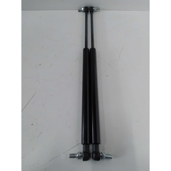 Par Amortecedor Tampa Tras 48 Centimetros Confirmar Modelo