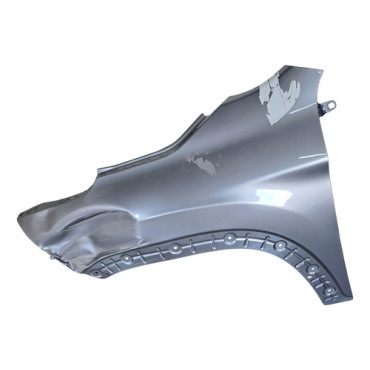 Paralama Esquerdo To...