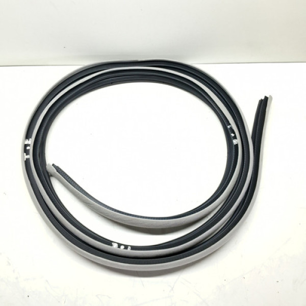 Borracha Porta Traseira Esquerda (carroceria) Opirus 04 A 09