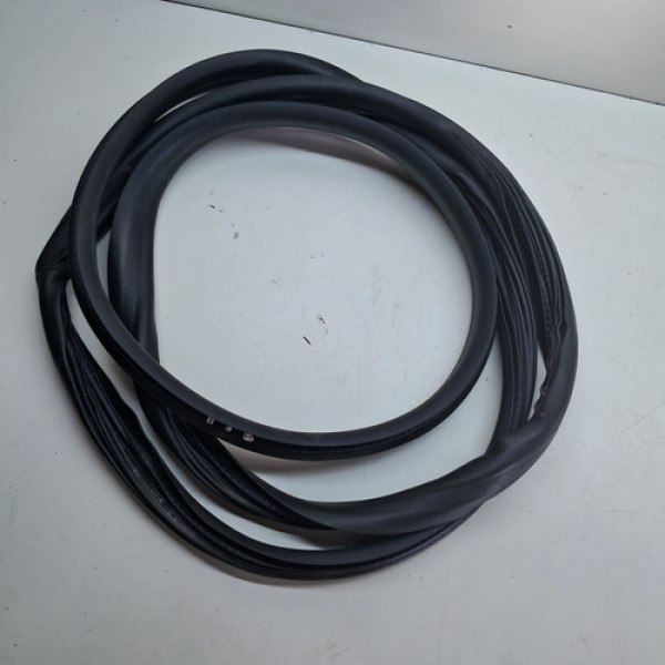 Borracha Porta Traseira Esquerda (carroceria) Sandero 2015/ - Preto