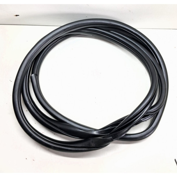 Borracha Porta Dianteira Direita Hb20 13 A 2019 Detalhe