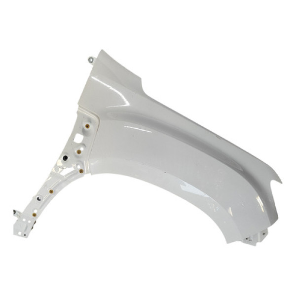 Paralama Direito Duster 2021/