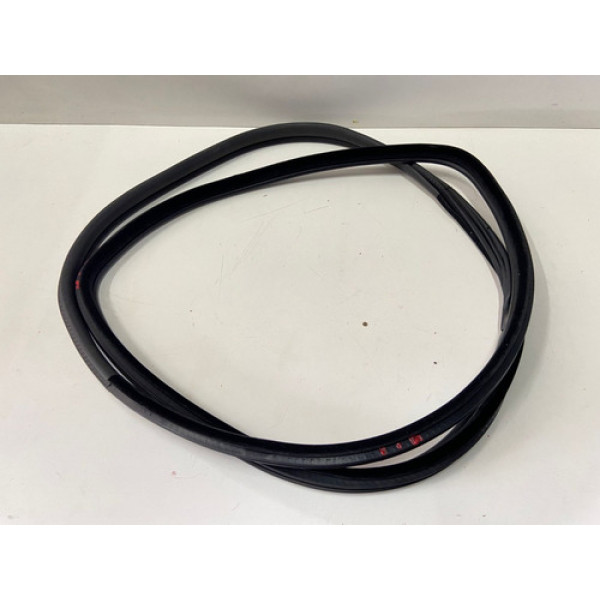 Borracha De Porta Traseira Esquerda Bmw X5 2011 Detalhe