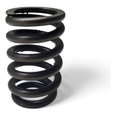 Mola Valvula Escape ...