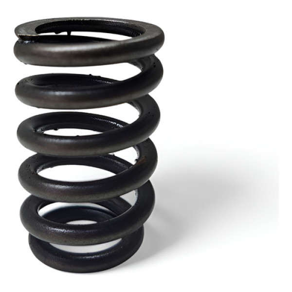 Mola Valvula Escape  Eco Sport Fiesta 1.6 Zetec