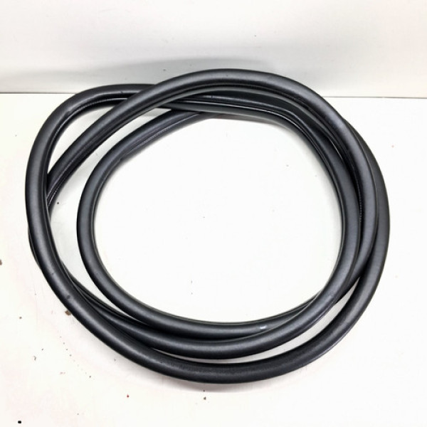 Borracha Porta Traseira Direit (carroceria) Hb20 Sedan 13/19