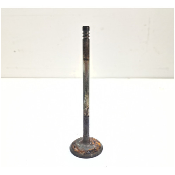 Valvula Admissão Renegade 1.3 Turbot270 2022 2023 2024