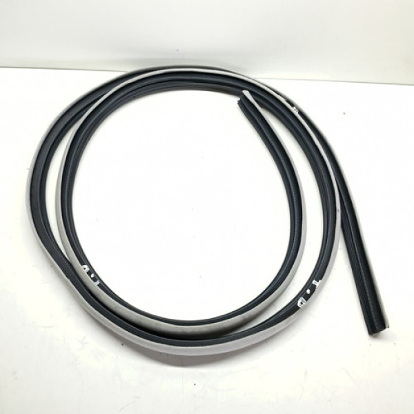 Borracha Porta Traseira Direita Kia Opirus  2007 2008 Detal