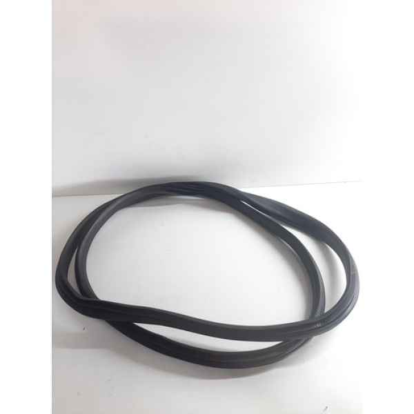 Borracha Porta Traseira Direita (carroceria) Captur 2017/24