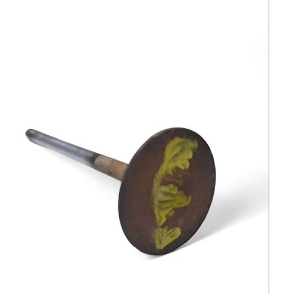 Valvula Escape Eco Sport Fiesta 1.6 Zetec